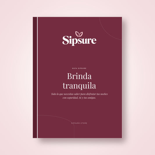 Guía de Noches Seguras · Ebook